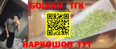 индика Будённовск