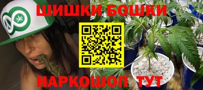 индика Будённовск