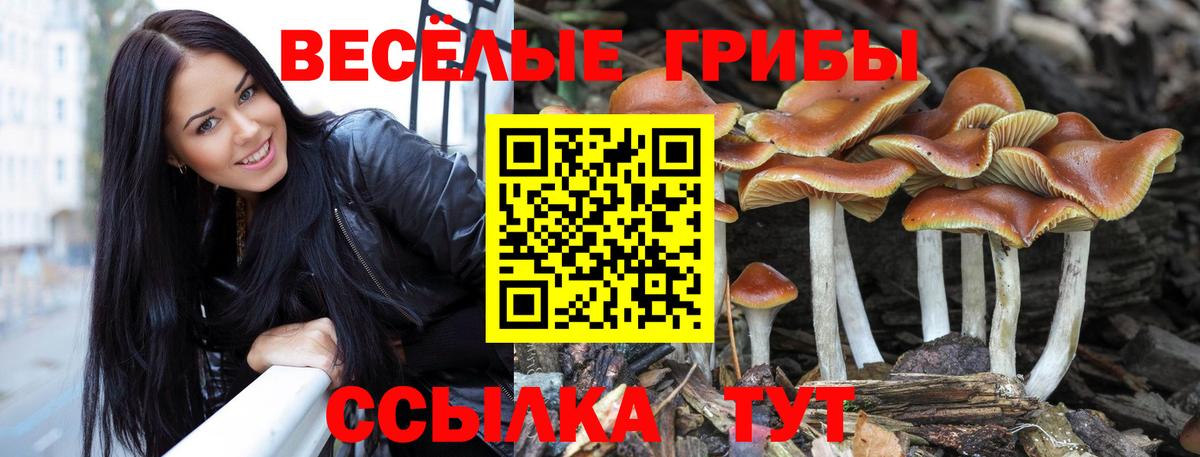 Псилоцибиновые грибы прущие грибы Рославль