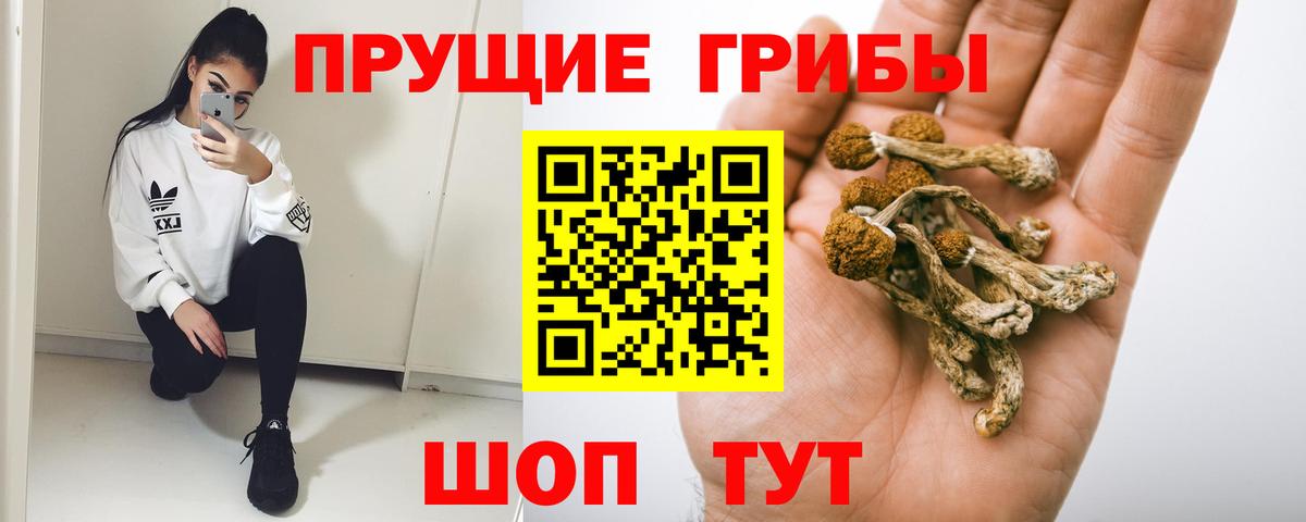 Псилоцибиновые грибы Psilocybine cubensis  Вход с VPN  Рославль  Галлюциногенные грибы прущие грибы 
